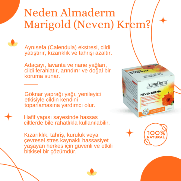 Kadife Çiçeği Özlü Doğal Krem - Marigold Cream - Görsel 2